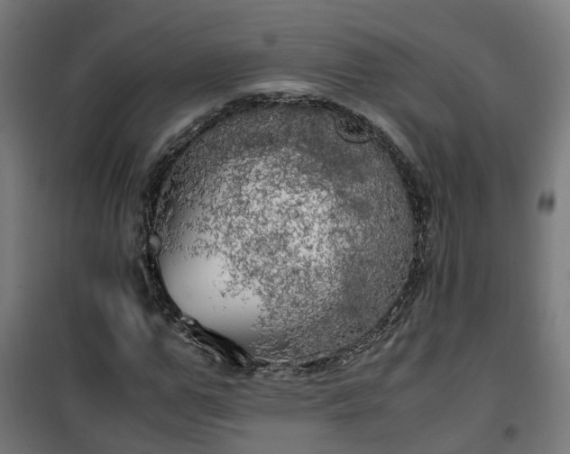 X0000100490967200806201649