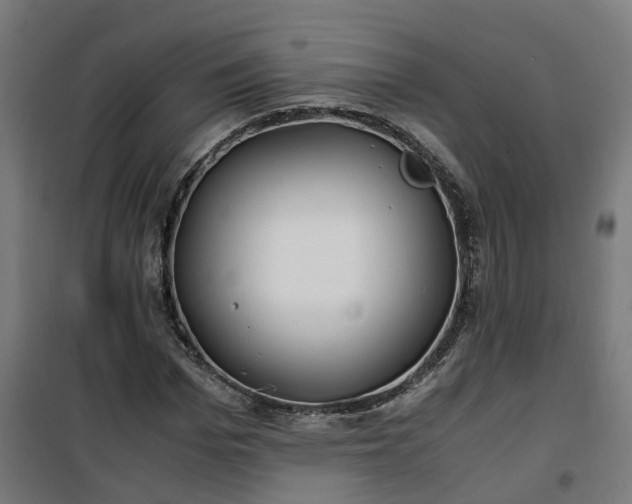 X0000100490969200806201649