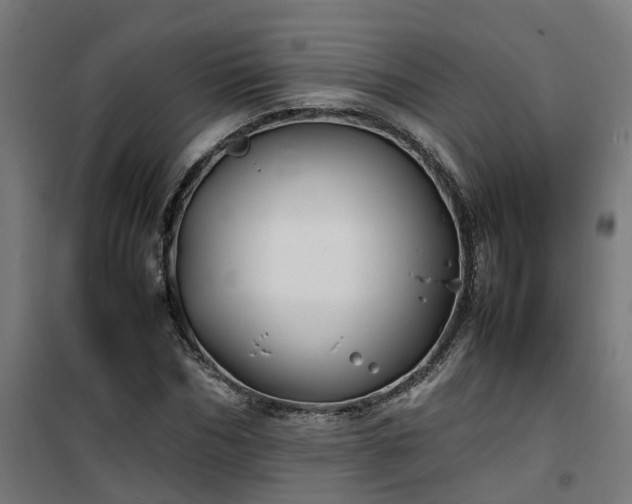 X0000100490970200806201649