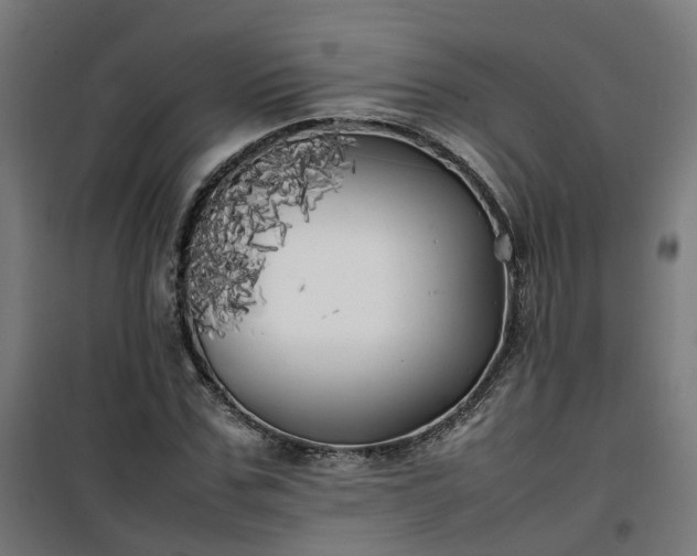 X0000100490971200806201649