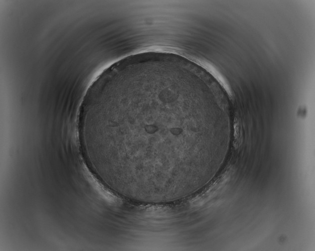 X0000100490972200806201649