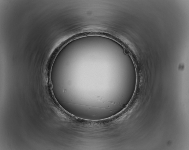 X0000100490973200806201649