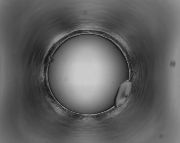 X0000100490974200806201649