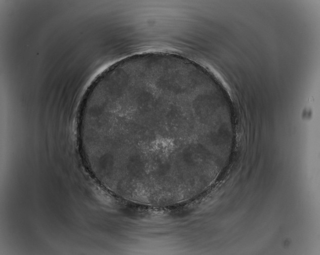 X0000100490975200806201649