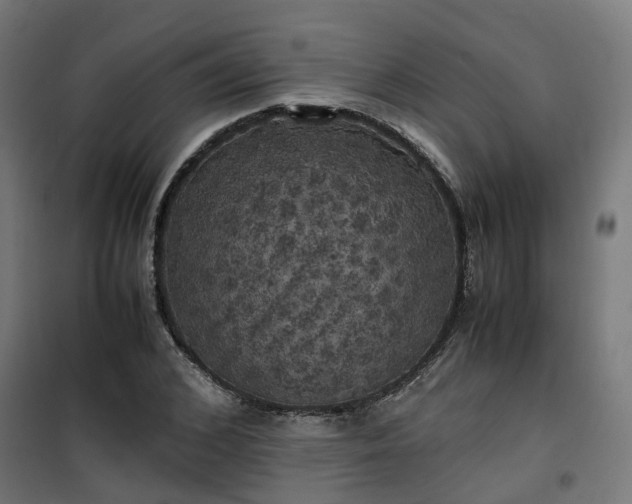 X0000100490976200806201649