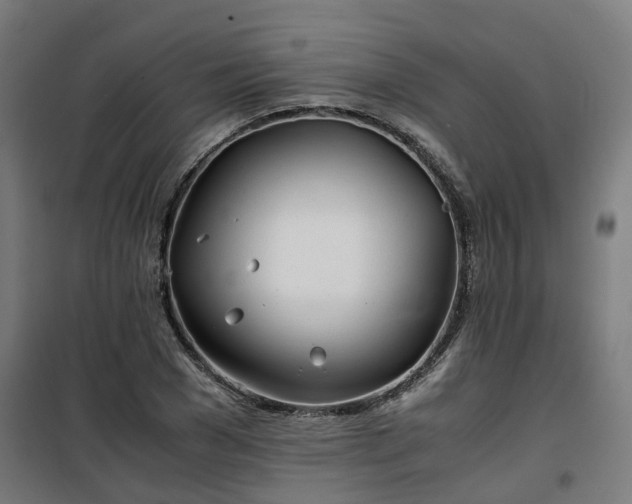 X0000100490977200806201649