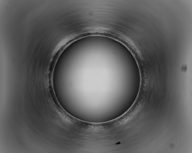 X0000100490978200806201649