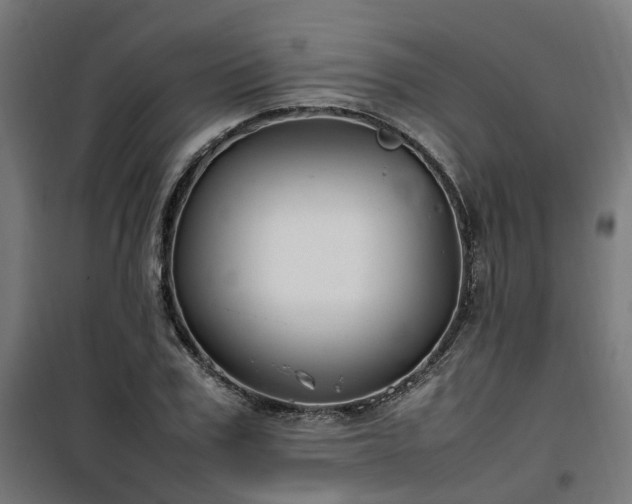 X0000100490979200806201649