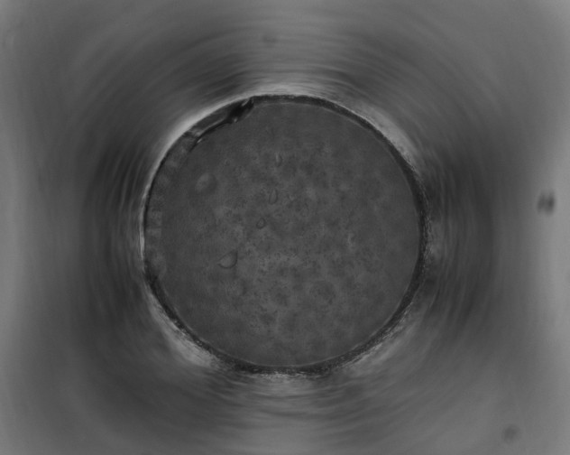 X0000100490980200806201649