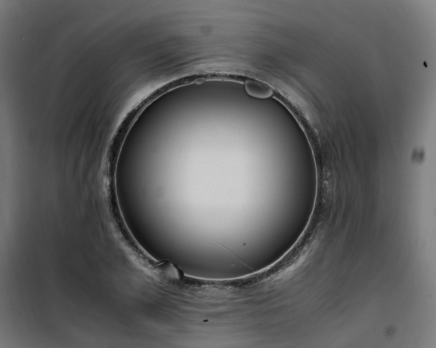 X0000100490981200806201649