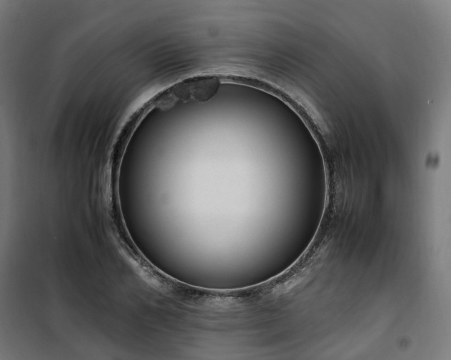 X0000100490982200806201649