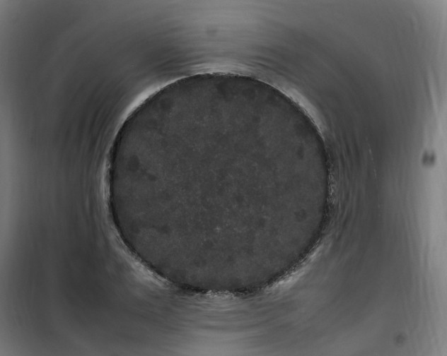 X0000100490983200806201649