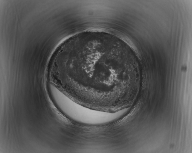 X0000100490984200806201649