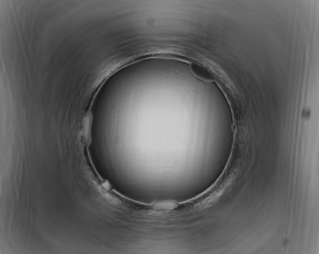 X0000100490985200806201648