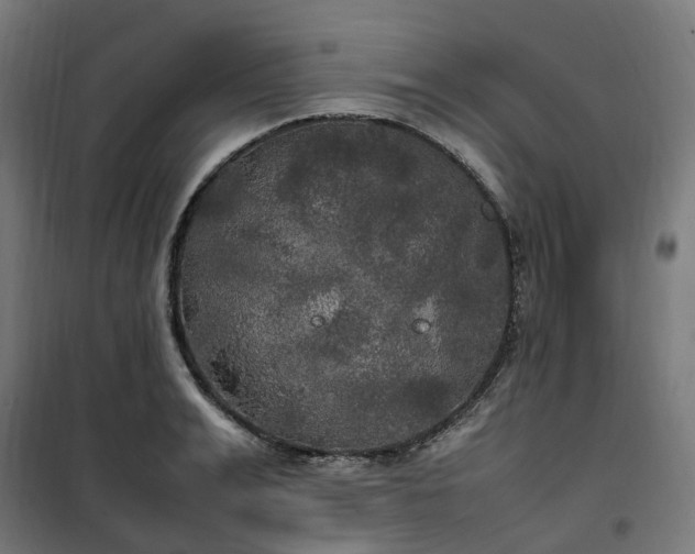 X0000100490991200806201648