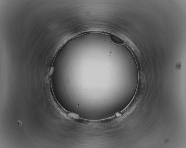 X0000100490993200806201648