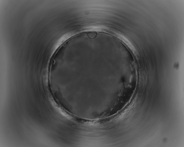 X0000100490994200806201648