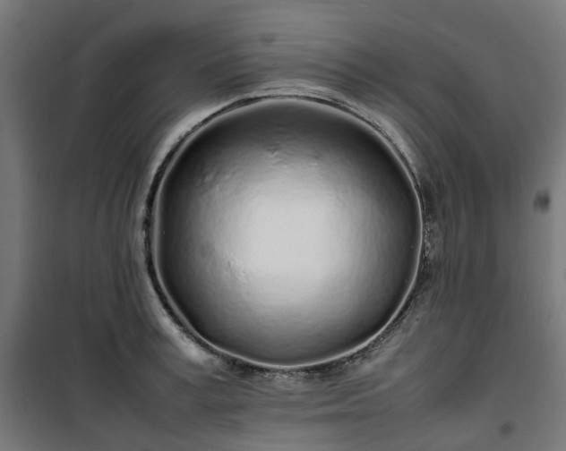 X0000100490995200806201648