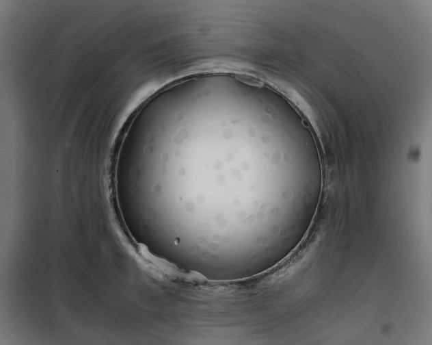 X0000100490997200806201648