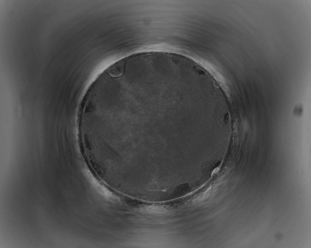 X0000100490998200806201648