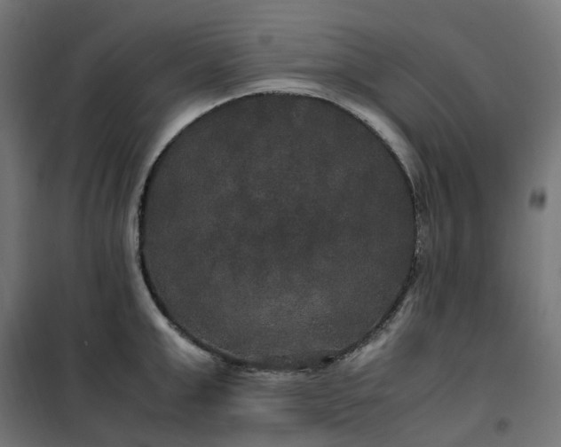 X0000100490999200806201648