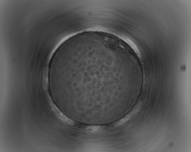 X0000100491000200806201648