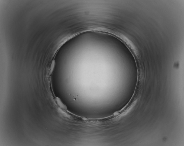 X0000100491001200806201648