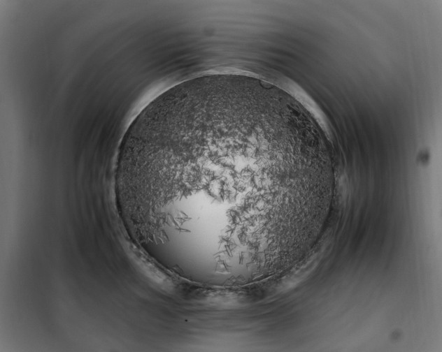 X0000100491002200806201648
