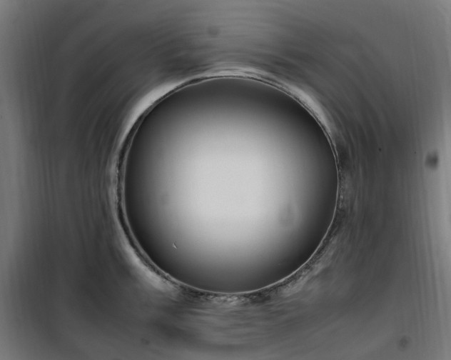 X0000100491003200806201648