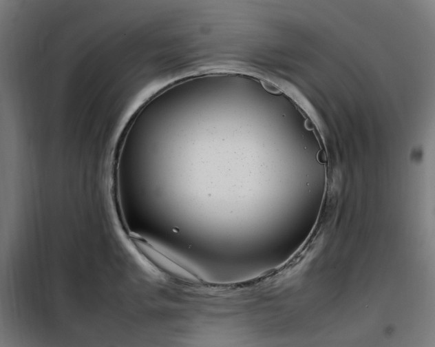 X0000100491005200806201648