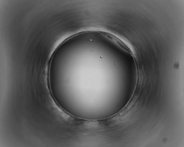 X0000100491006200806201648