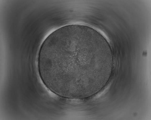X0000100491007200806201648
