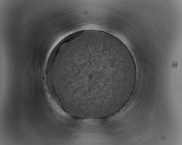 X0000100491008200806201648