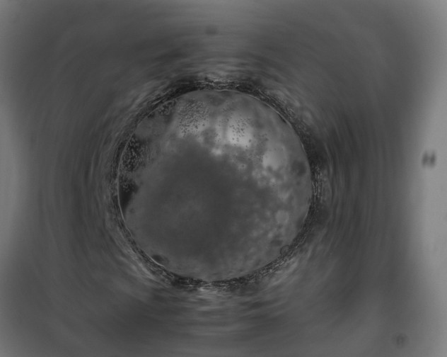 X0000100491009200806201648