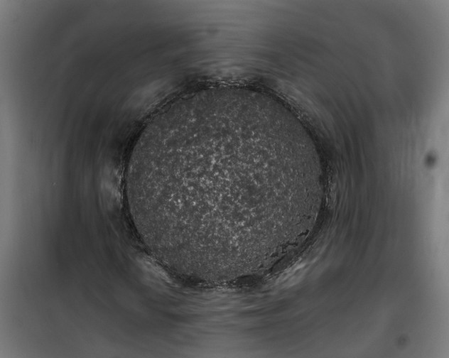 X0000100491010200806201648