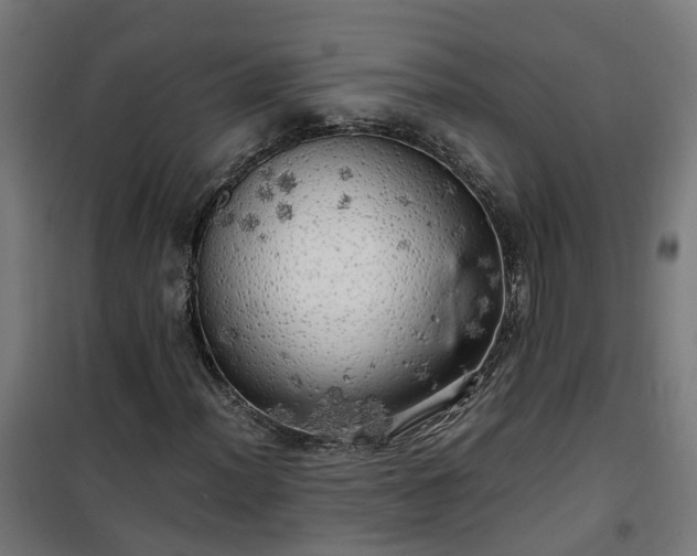 X0000100491012200806201648