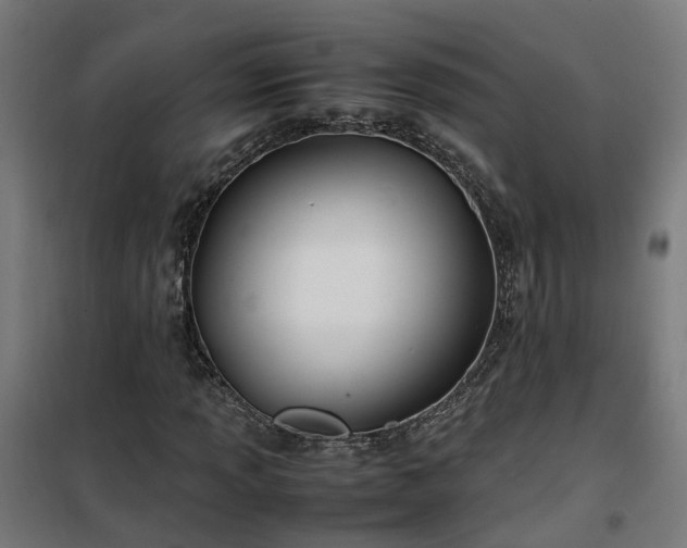 X0000100491013200806201648
