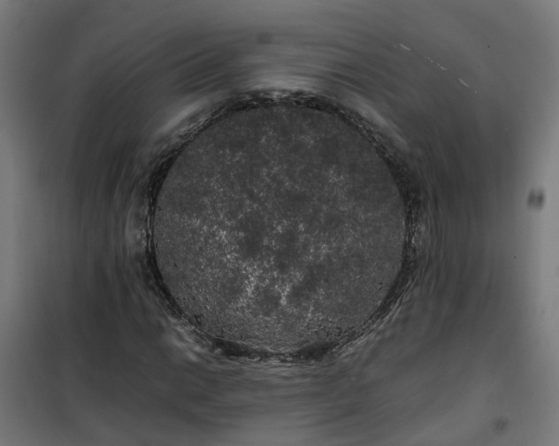 X0000100491014200806201648