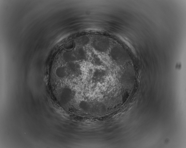 X0000100491015200806201648