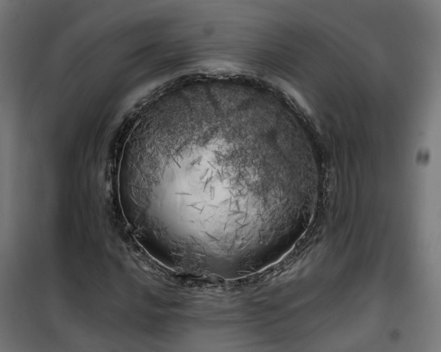 X0000100491016200806201648