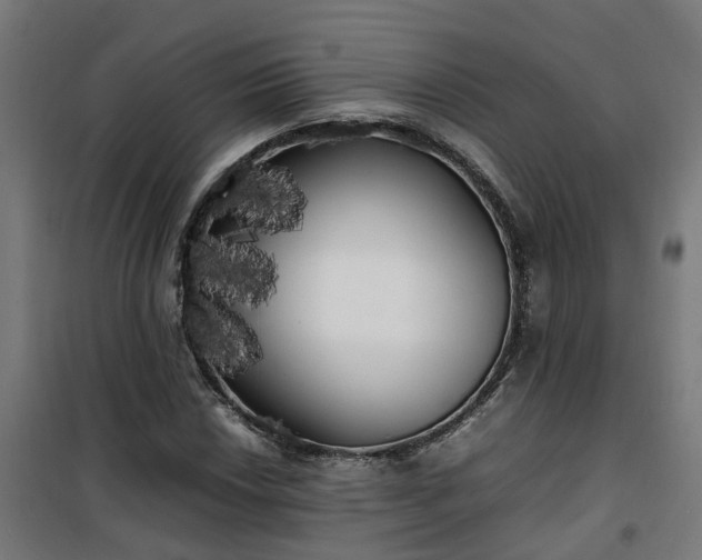 X0000100491018200806201648