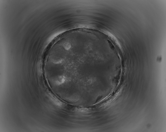 X0000100491019200806201648