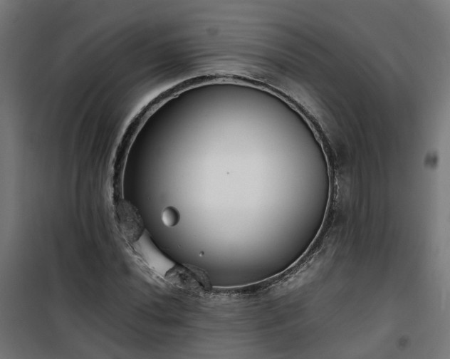 X0000100491020200806201648