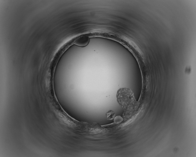 X0000100491021200806201648