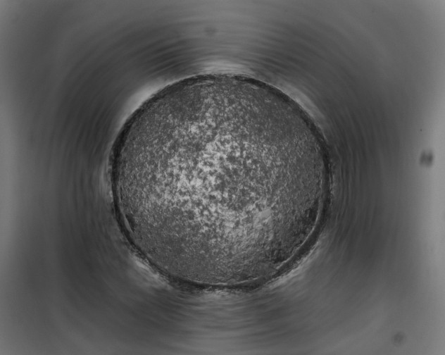 X0000100491022200806201648