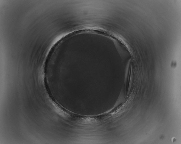 X0000100491024200806201648