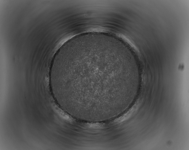 X0000100491025200806201648