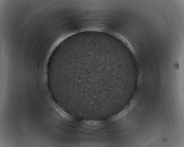 X0000100491027200806201648