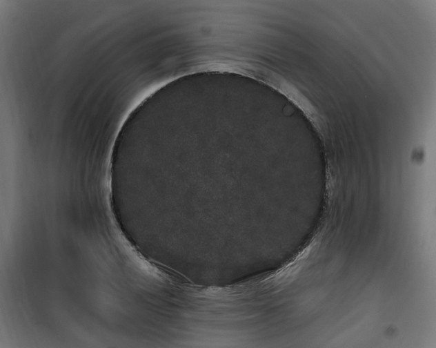 X0000100491028200806201648