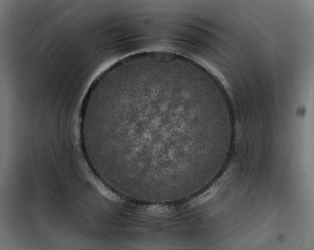 X0000100491029200806201648